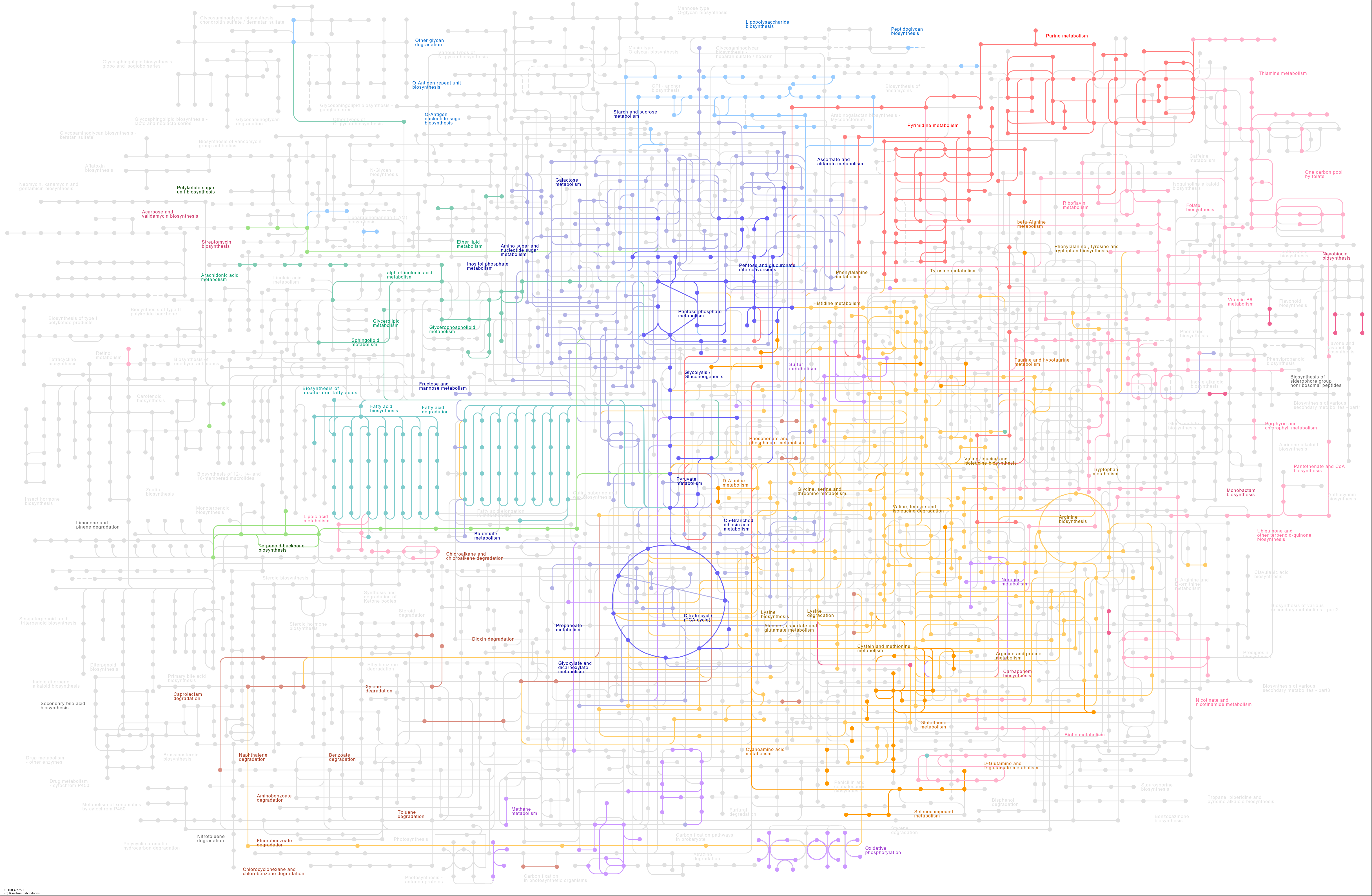 Metabolic network of E. coli from KEGG